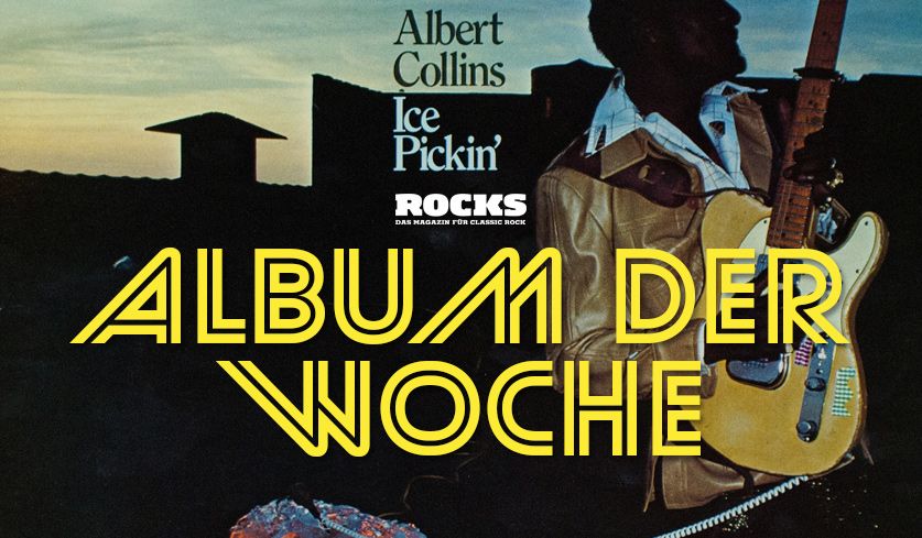 Headergrafik für das Album  der Woche "Ice Pickin'" von Albert Collins.