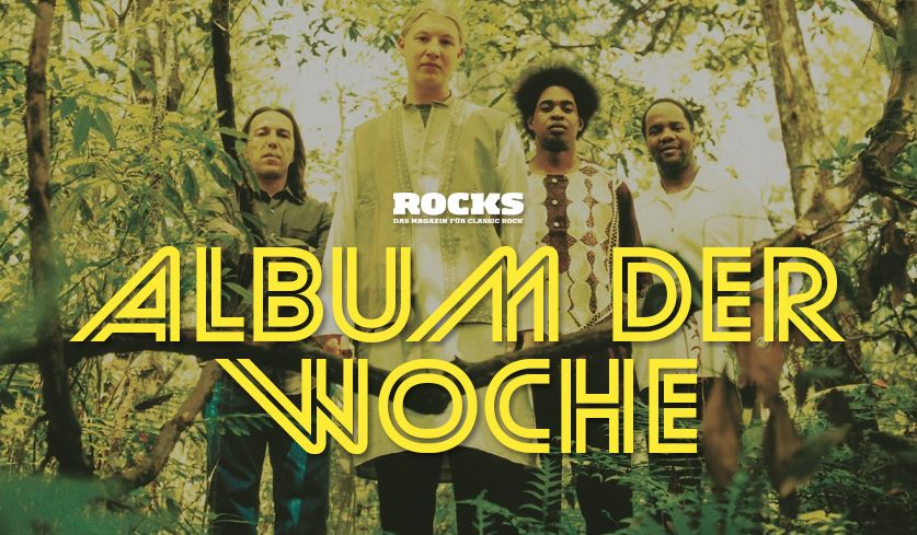 Headerfoto des Albums der Woche "Joyful Noise" der Derek Trucks Band.