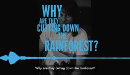Screenshot aus dem Paul McCartney und Jeff Beck-Video "Why Are They Cutting Down The Rainforest?".