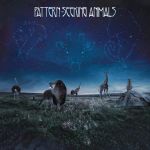 Cover des selbstbetitelten Pattern-Seeking Animals-Albums.