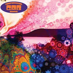 Cover des Chris Robinson Brotherhood-Albums "Phosphorescent Harvest".